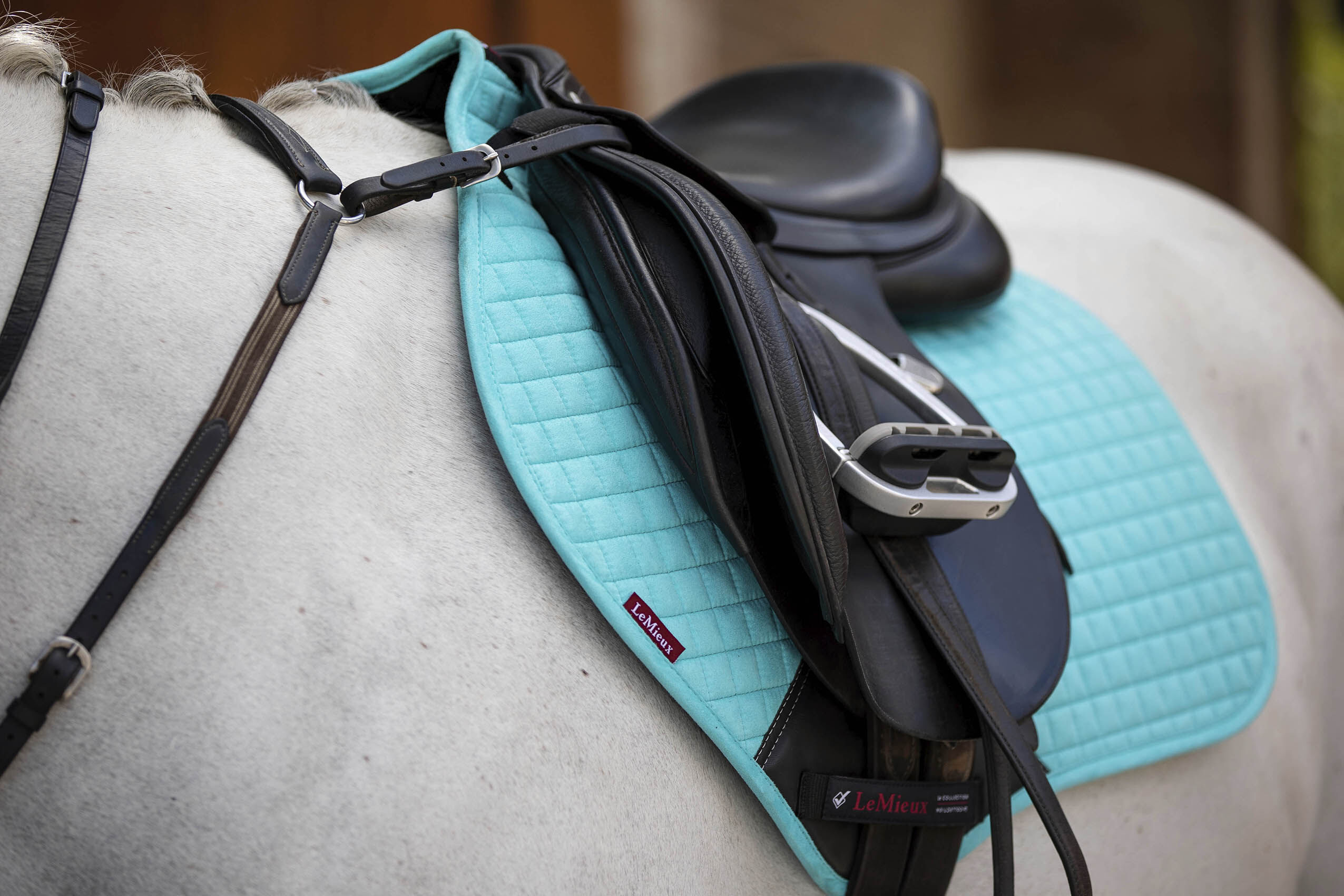 Lemieux Prosport Suede Gp Square Azure Griggs Equestrian