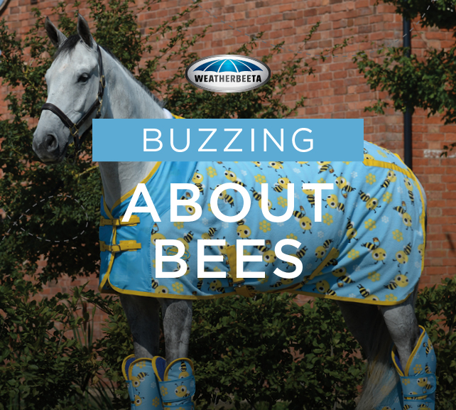 the-bug-rug-buzz-weatherbeeta-bee-rugs-griggs-equestrian-blog